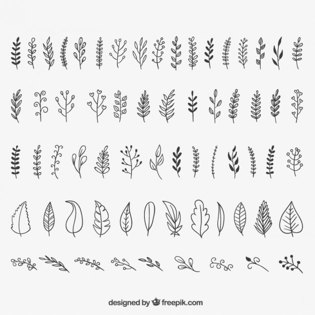 626x626 Sketchy Leaves Vector Free Download