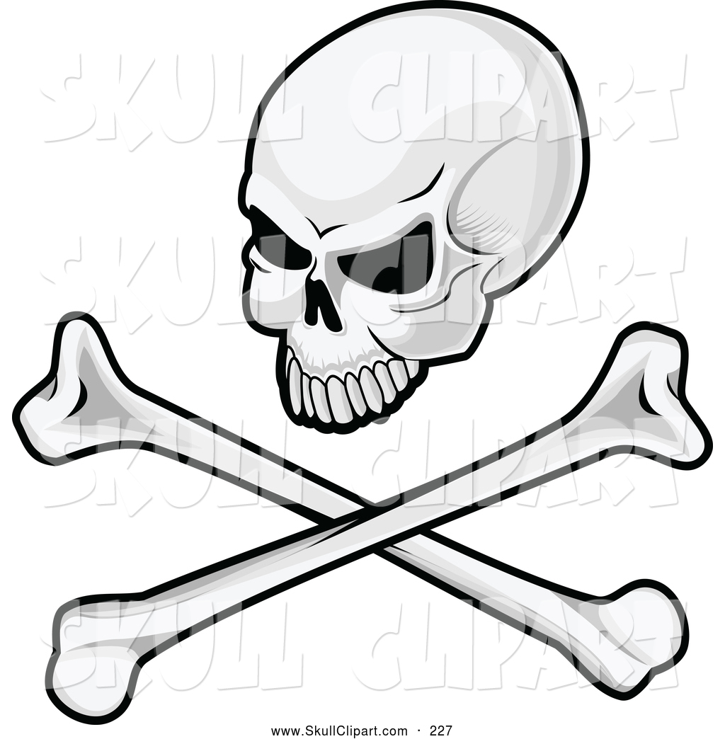 1024x1044 Pictures Of Crossbones Vector