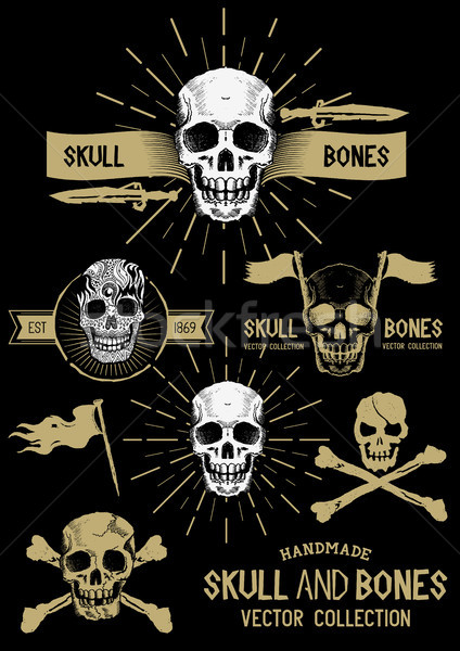 424x600 Vector Pirate Skull And Bones Set Vector Illustration James Thew