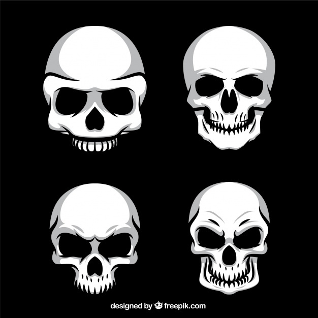 626x626 Skull Vectors, Photos And Psd Files Free Download