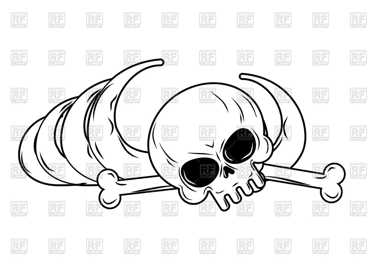 1200x859 Human Remains. Bones, Skeleton And Skull. Vector Image Vector