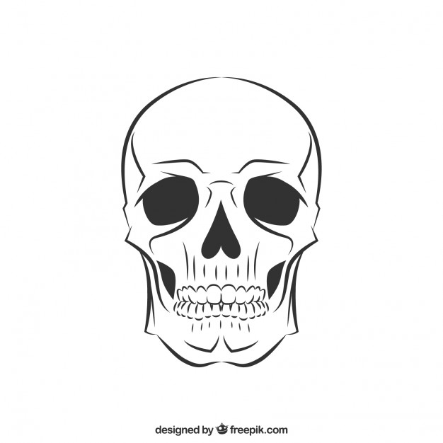 626x626 Sketchy Skull Vector Free Download