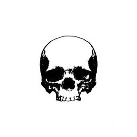 282x282 Skull Vector Icons Free Vector Download 328277 Cannypic