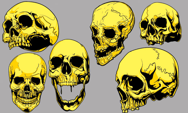 600x360 Skull Vector Free Vector 4vector
