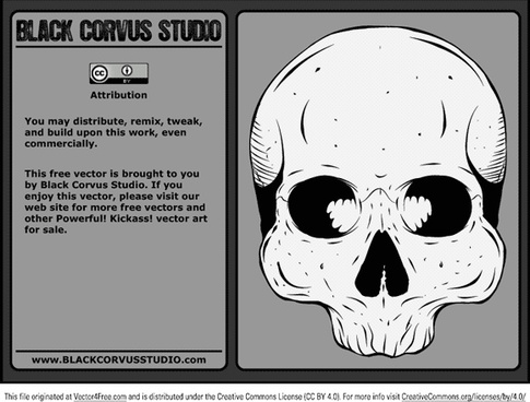 485x368 Human Skull Vector Png Images, Backgrounds And Vectors For Free