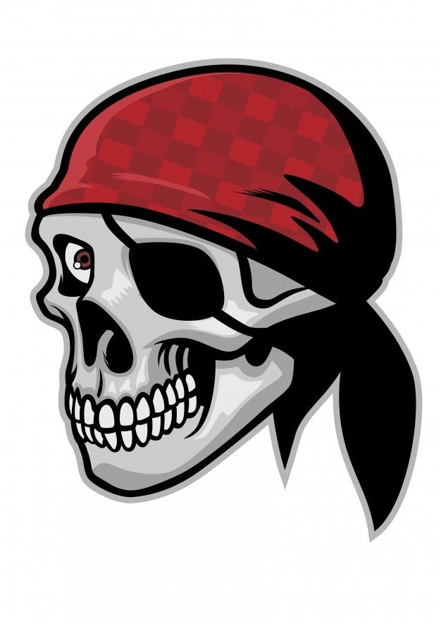 626x885 Pirate Skull Vector