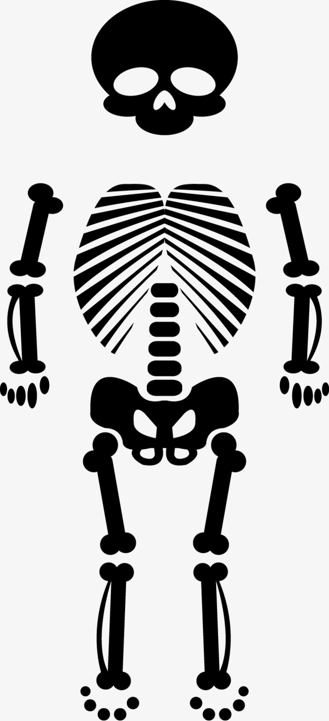 650x1422 Vector Bones, Bone, Skull, Vector Free Download Png And Vector For