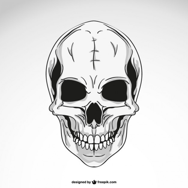 626x626 Black And White Skull Vector Free Download