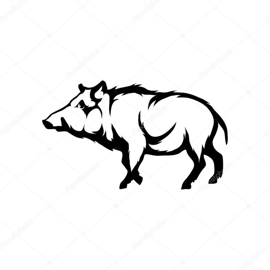 900x900 Download Boars Skull Vector Clipart Wild Boar Common Warthog