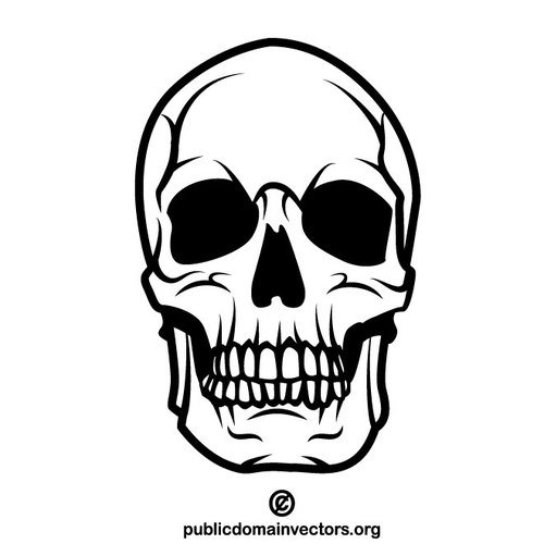 500x500 Human Skull Vector Clip Art Public Domain Vectors