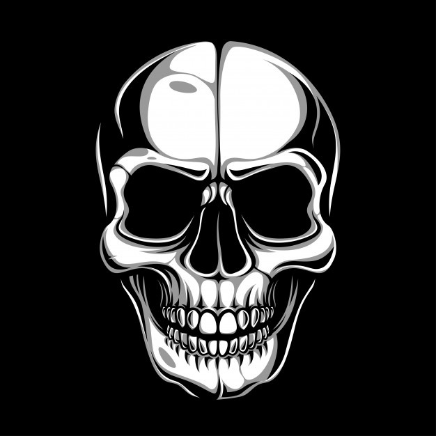 Skull Vector Image at GetDrawings | Free download