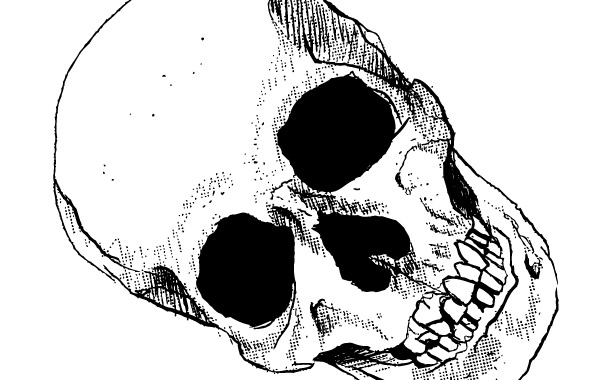 600x380 Free Download Of Skull Vector Graphics And Illustrations