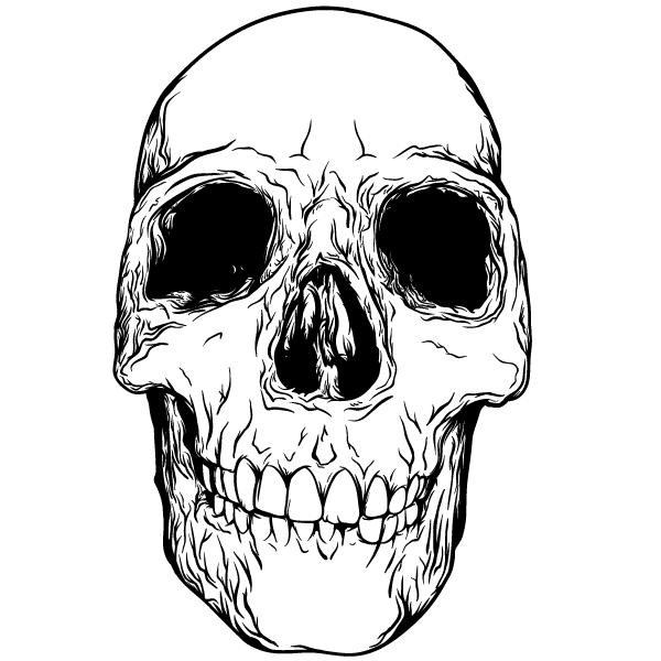 600x600 Free Skull Image Psd Files, Vectors Amp Graphics