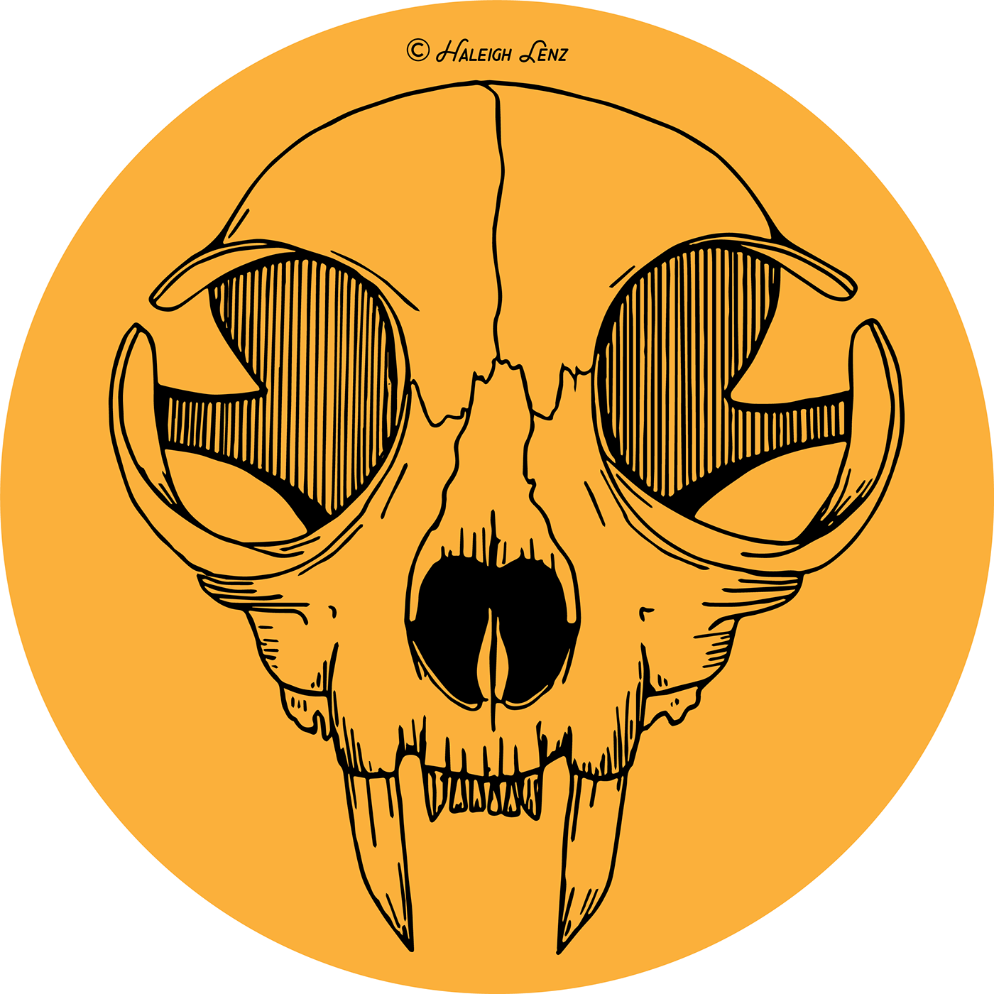 1400x1400 Cat Skull Vector Illustration On Behance