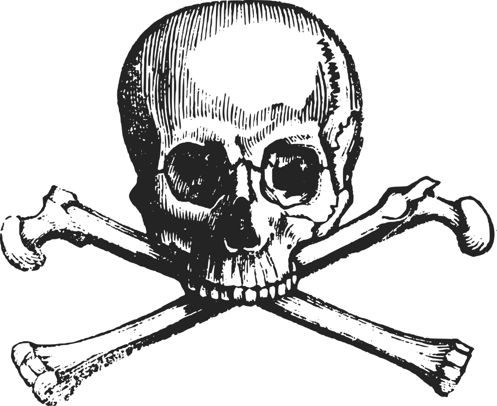 1024x836 Collection Of Free Skull Vector Transparent. Download On Ubisafe