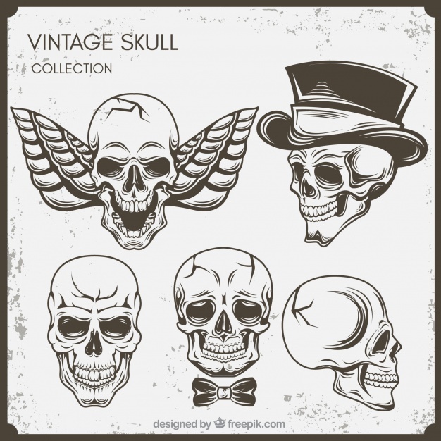626x626 Skull Wings Vectors, Photos And Psd Files Free Download