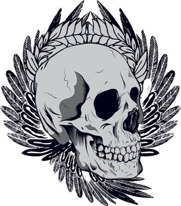 264x300 Skull With Wings Vector T Shirt Design Royalty Free Stock Image