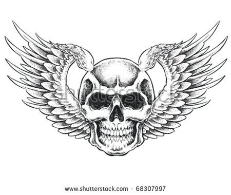 450x380 Skull With Wings Vector Illustration Winged Skulls