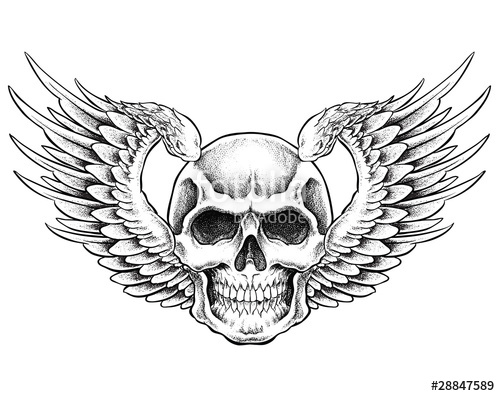 500x396 Skull With Wings Vector Stock Image And Royalty Free Vector Files
