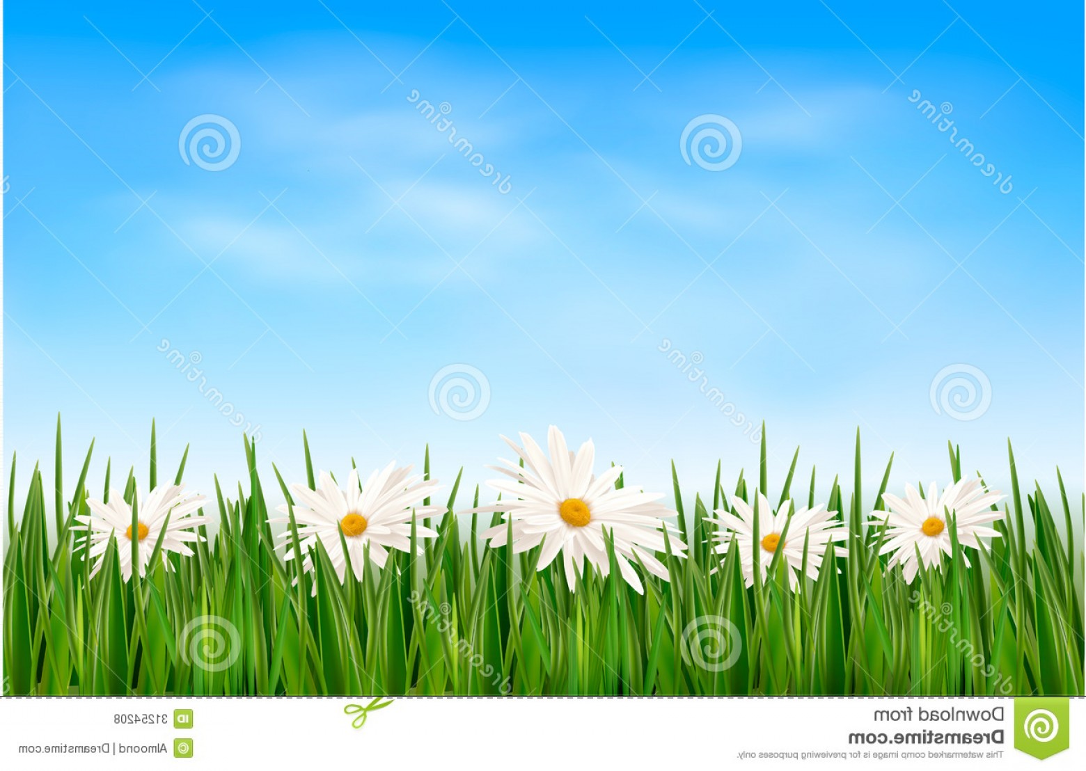 1560x1108 Royalty Free Stock Photos Nature Background Green Grass Flowers
