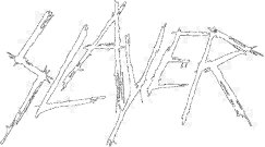 243x135 Slayer Logo Vector