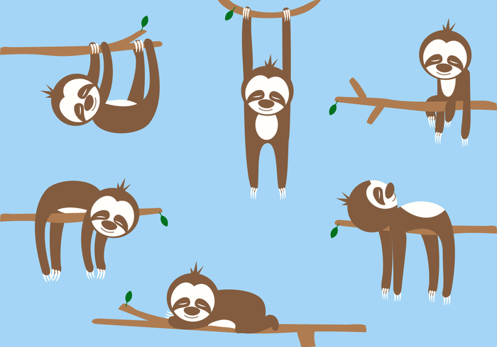 700x490 Free Sloth Cartoon Vector