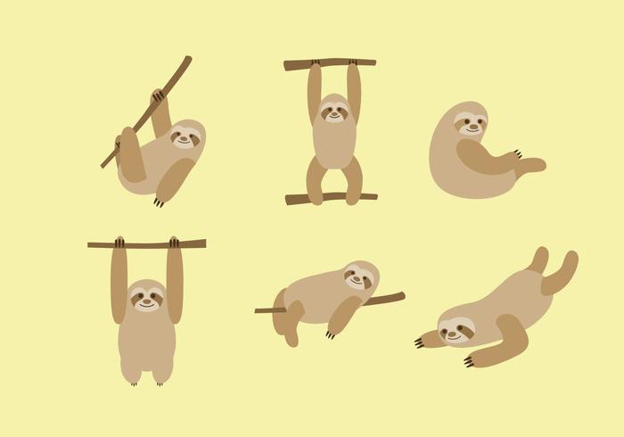 700x490 Sloth Vector