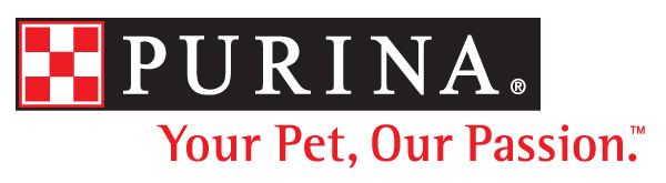 600x165 Shop Small In Downtown