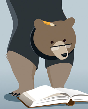 340x420 About The Bears