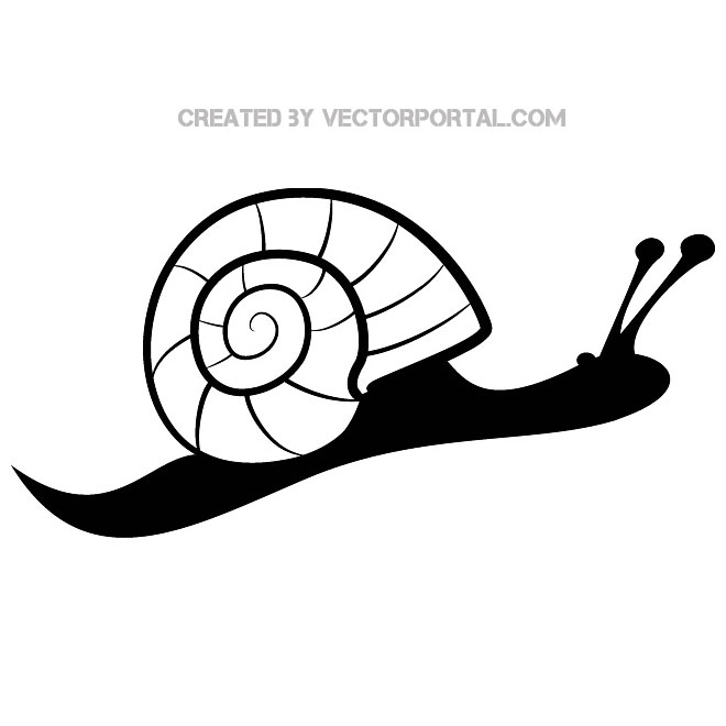 660x660 Snail Free Image Free Vector 123freevectors