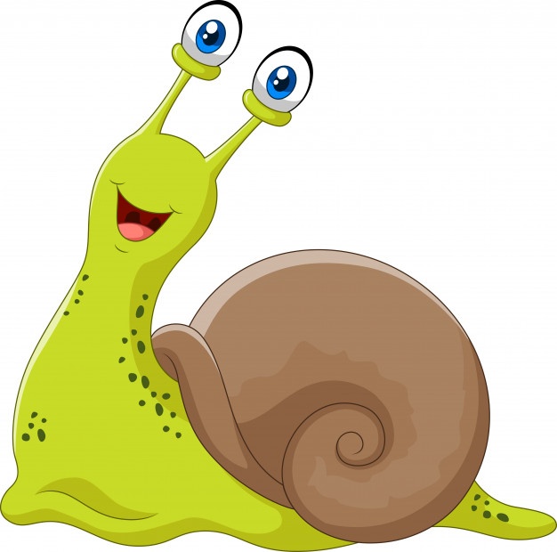 Snail Vector at GetDrawings | Free download