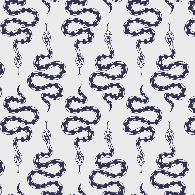 626x626 Snake Texture Vectors, Photos And Psd Files Free Download