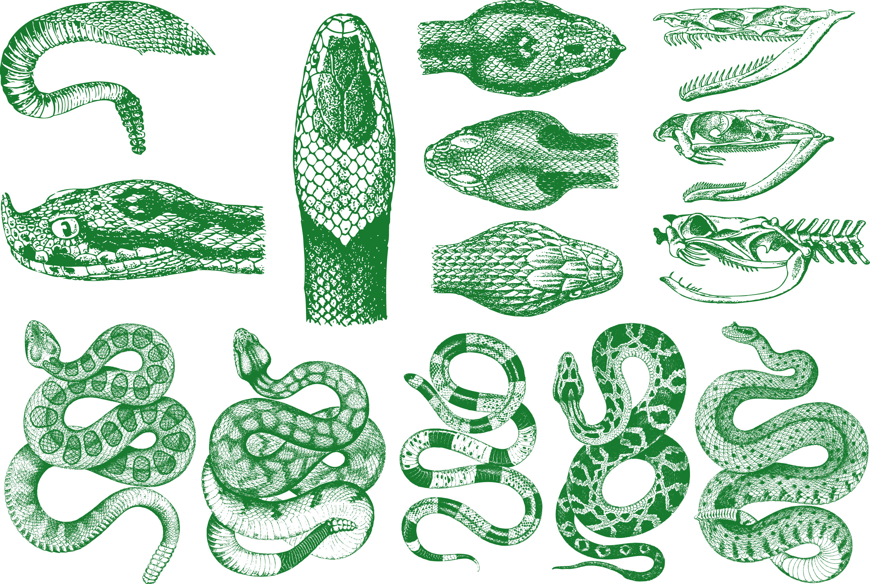 2832x1902 Snake Vipers Pattern