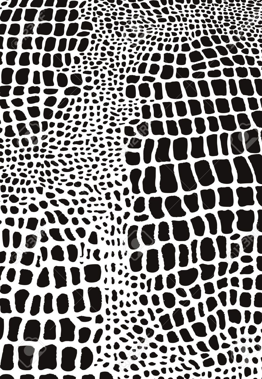 899x1300 Snake Animal Skin Pattern Patterns Or Shapes