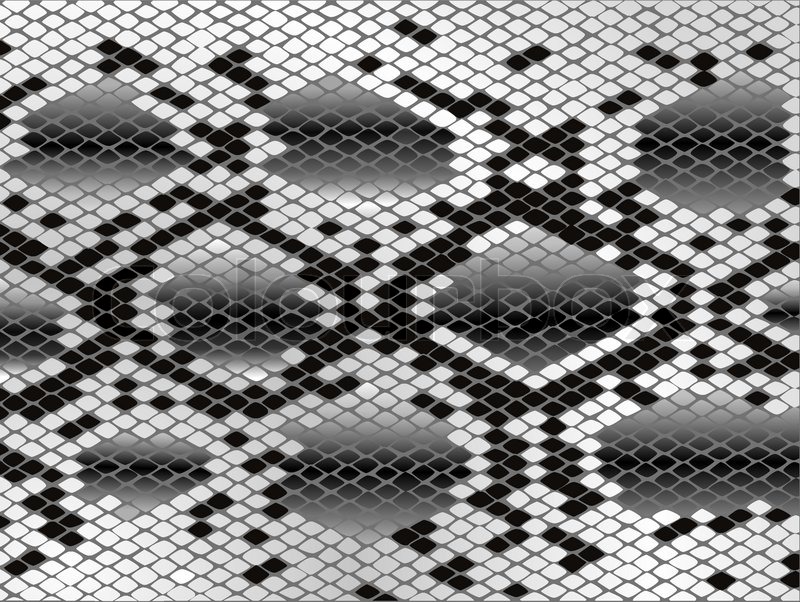 800x602 Snake Skin Pattern In Black And White Stock Vector Colourbox