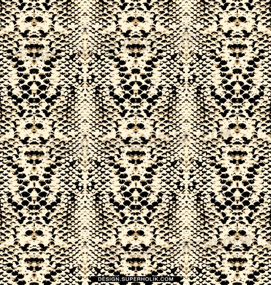 551x580 Fashion Design Templates, Vector Illustrations And Clip Artssnake