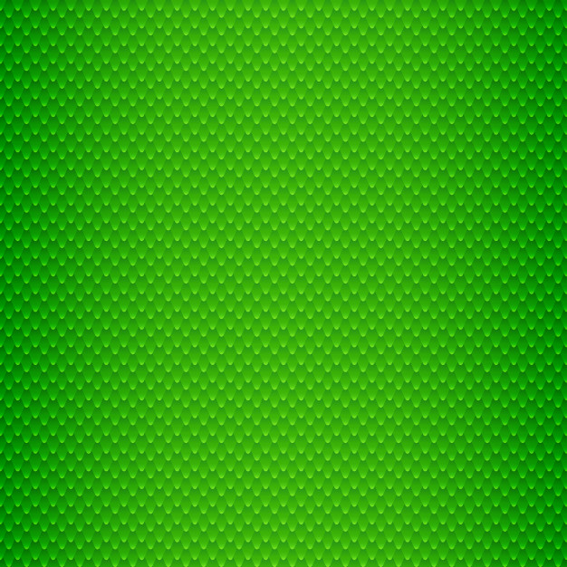 626x626 Green Snake Skin Scales Seamless Pattern Vector Premium Download