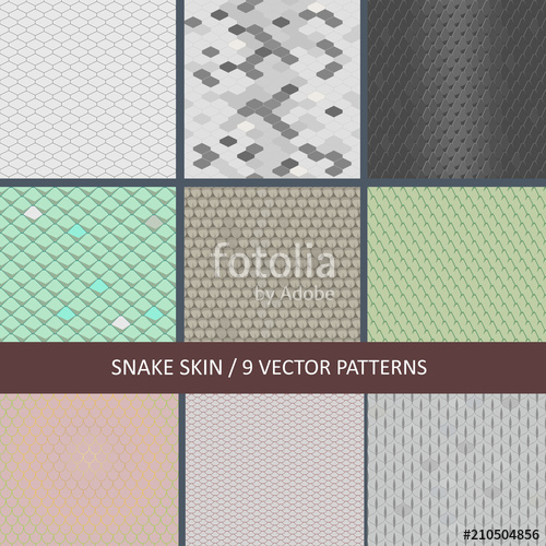 500x500 Set Of Seamless Snake Skin Textures Stock Image And Royalty Free