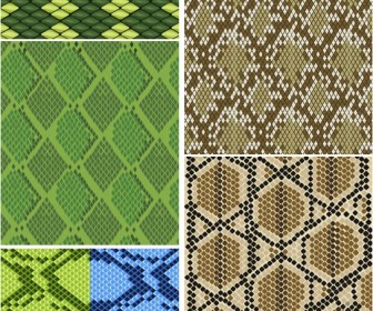 336x280 Snake Skin Texture Vector