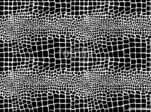 Snake Skin Vector at GetDrawings | Free download