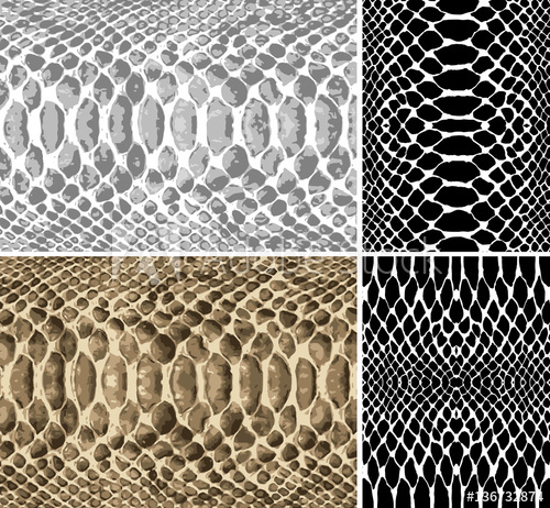 500x462 Snake Skin. Vector