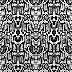 Snake Skin Vector at GetDrawings | Free download