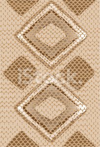 204x300 Vector Snake Skin Background Stock Vectors