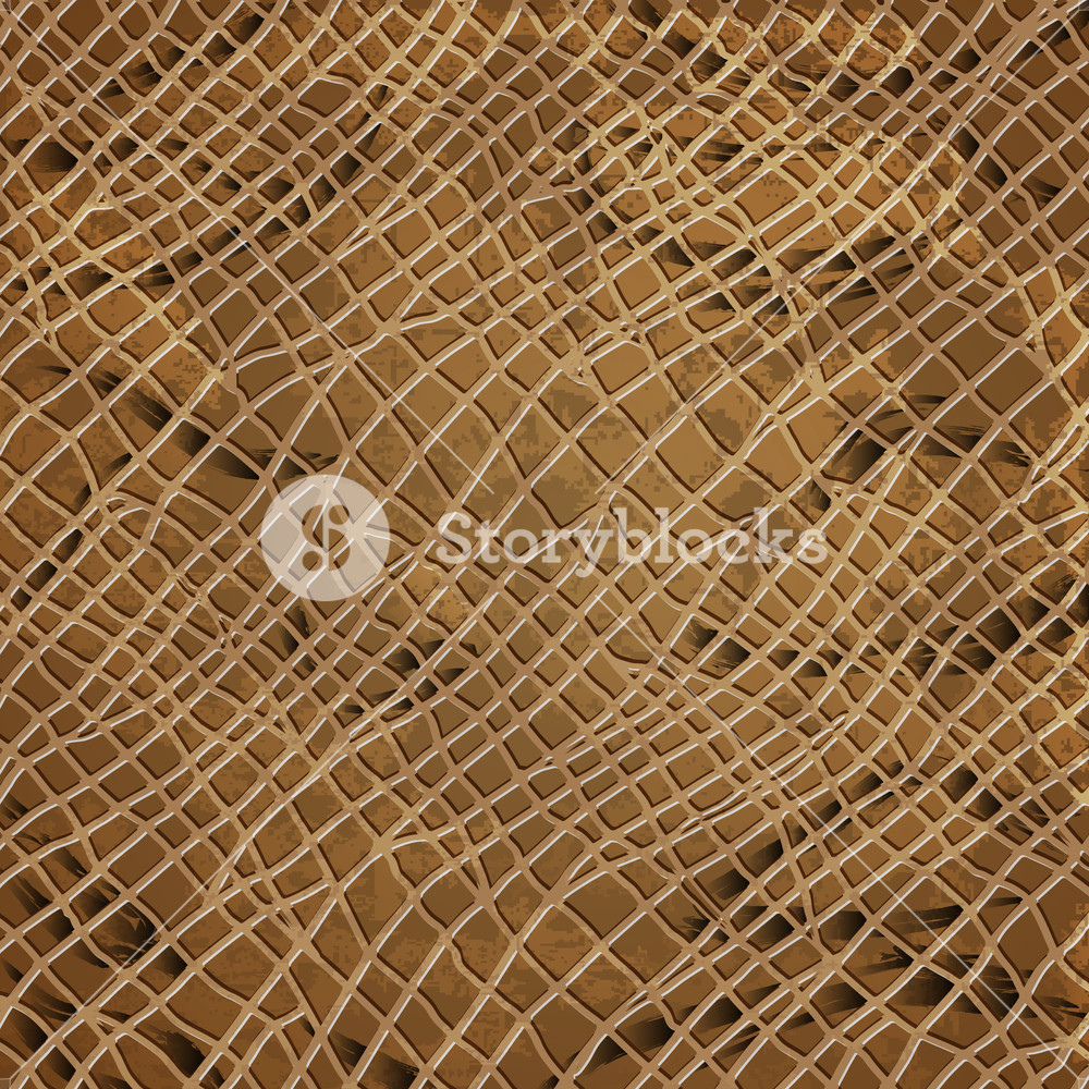 1000x1000 Vector Snake Skin Texture Royalty Free Stock Image
