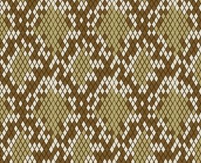 287x233 Year Of The Snake Skin Vector Free Vectors Ui Download