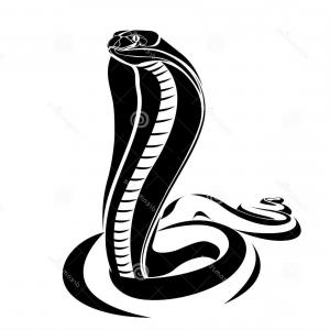 Snake Vector at GetDrawings | Free download