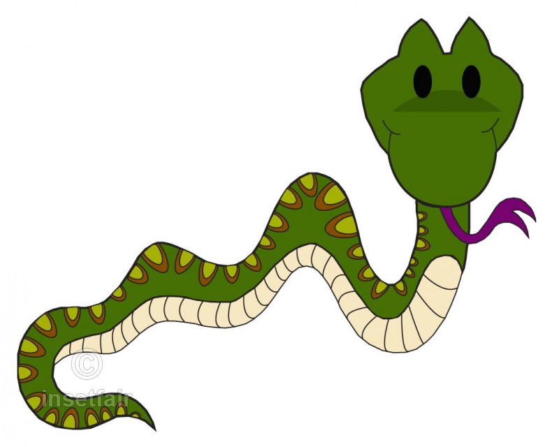 800x640 Cartoon Snake Vector Illustration