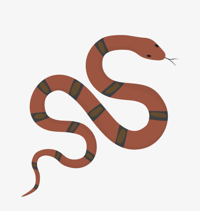 Snake Vector at GetDrawings | Free download