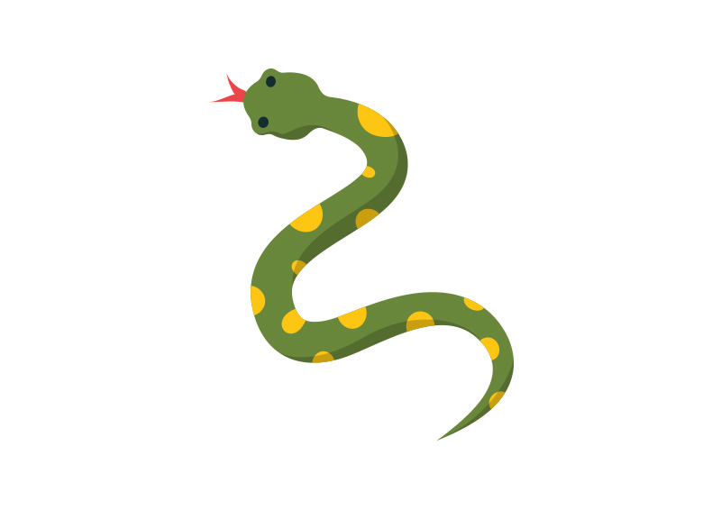 800x566 Snake Flat Vector