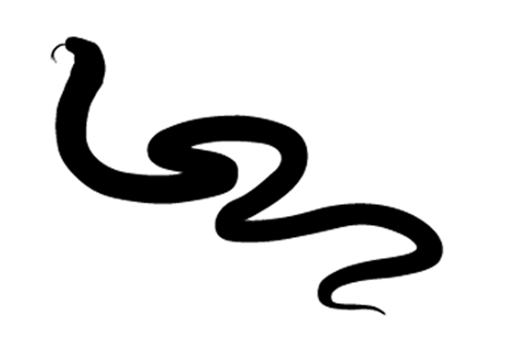 1024x695 Snake Vector